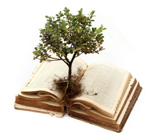 tree on top of book