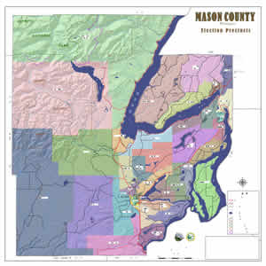 election precints map