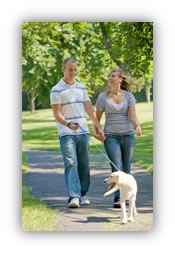 couple walking a dog