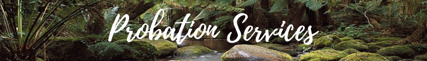 Mason County Probation Services Page Banner